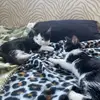 Kristin Blaney - @kristin.blaney - TikTok