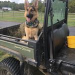 Kristen Jean Bouchard - @washingtoncountystablesfreiado - Instagram