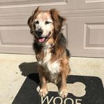 Kristen Cantrell - @kristenc75700 - Instagram
