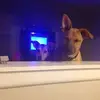 kristencantrell20 - @kristencantrell20 - TikTok
