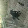 kristenconner33 - @kristenconner33 - TikTok