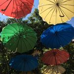 Kristen Crowe - @kcrowe74 - Instagram