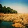 Kr - @kristendevoe - TikTok