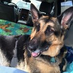 Kristen Doyle - @kristendoyle - Instagram