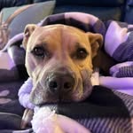 Kristen Faust - @k10ieduc8 - Instagram