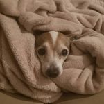 Kristen Field - @kristenfield757 - Instagram