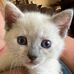 Kristin Halverson - Facebook