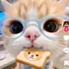 HAZELKRISTEN - @hazelkristen - TikTok