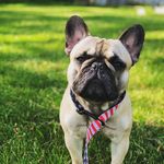Kristen Hepler - @ms.kris_85 - Instagram