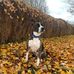 Krysten Herbert - Facebook