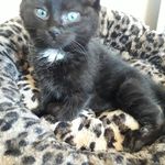 Kristen Keyes - @keyes4288 - Instagram