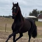 Kristen Keyes Smeltzer - @kristen1805 - Instagram