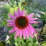 Kristin Keyes - @k_ristinrenee - Instagram