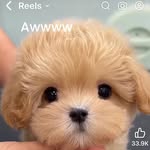 Kristen Markham Reynolds - @kristenmarkhamreynolds - Instagram