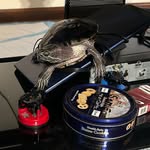 Kristen Brown McCool - @kristenbrown3526 - Instagram