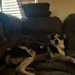 Kristen Mueller - @kristen.mueller.5095 - Instagram