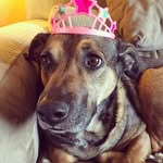 Kristen Mueller Smith - @muel0249 - Instagram