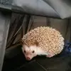 Kristen Ogle393 - @kristenogle393 - TikTok