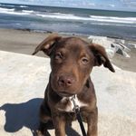 Kristin Patch - @kristin.patch - Instagram