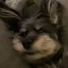 LaLa - @kristen_peyton - TikTok