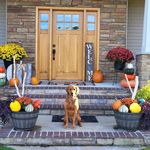 Kristen Proctor Carlblom - @kristencarlblom - Instagram