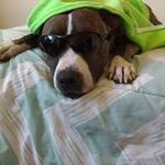 Kristen Shultz-Aldrich - @kristenschultzaldrich - Instagram