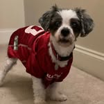 Kristen Simms Cross - @kscross098 - Instagram