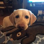 Kristen Wichtner Thacker - @wichtnerthacker - Instagram
