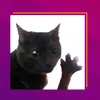 yip - @kristenwheatley12 - TikTok