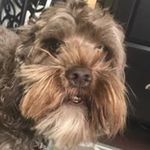 Kristen Wright - @kristen.wright.904750 - Instagram