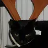 Kristian Abrams987 - @kristianabrams987 - TikTok