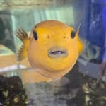 Kristi Hundl Beasley - @kristi_beasley1 - Instagram