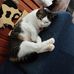Kristina Buenavides - Facebook