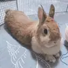 Kristi.Boyle - @kristiboylefmkaaabo - TikTok