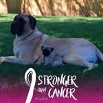Kristi Cowan Cagle - @kristicagle1 - Instagram
