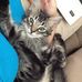 Kristy Cagle - Facebook