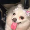 cherry_kristi8 - @cherry_kristi8 - TikTok