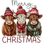 Kristy Brackman Cobb - Facebook