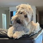 Kristi Couch - @krisc1212 - Instagram