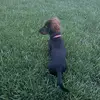 Kristi - @kristicouch - TikTok