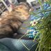 Kristi DeVries - Facebook