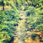 Kristi Durst - @msysystems - Instagram