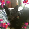 Kristie Durst - @kristie.durst - TikTok