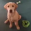 kristinedurstwahl - @kristine.durstwah - TikTok