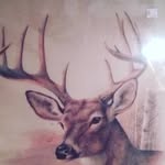 kristian - @kristian.elder - Instagram