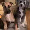 Kristy Goetz - @kristy.goetz - TikTok