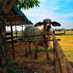 Kristiana Hamrick - @kristianahamrick - Instagram