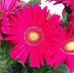 Kristin Lowe Hutton - Facebook