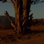 Kristijonas Gukauskas - @kristijonasguk - Instagram