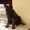 Christine Kaiser - @christine.kaiser60 - TikTok